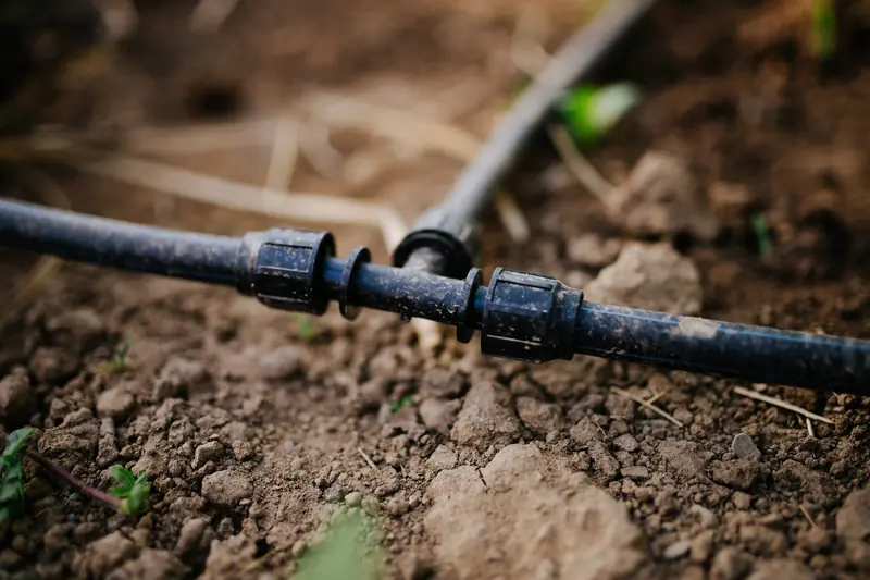 Black drip irrigation line with a coupling, running across bare garden soil