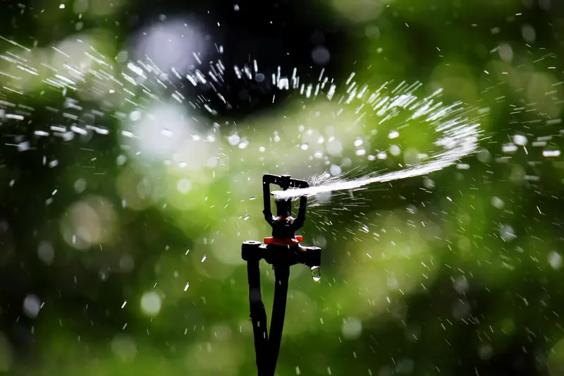 Rotating sprinkler head throwing an arc of water over green plants